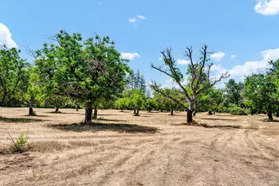 22550 Shady Grove Road, Middletown, CA 95461 - Photo 32