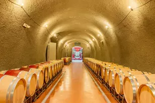 1535 Sage Canyon Rd, Saint Helena, CA 94574 - Photo 10