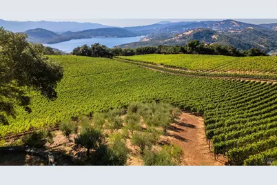 1535 Sage Canyon Road, Saint Helena, CA 94574 - Photo 30