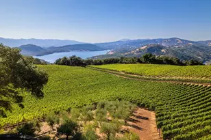 1535 Sage Canyon Rd, Saint Helena, CA 94574 - Photo 30