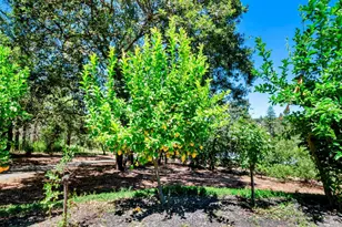 305 West Ln, Angwin, CA 94508 - Photo 62