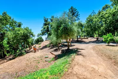 305 West Lane, Angwin, CA 94508 - Photo 44