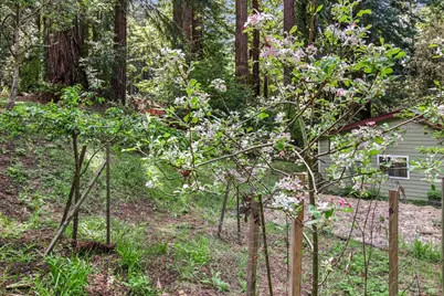 12480 Fiori Lane, Sebastopol, CA 95472 - Photo 44