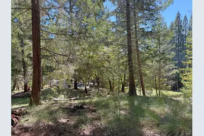 25940 Poppy Place, Willits, CA 95490 - Photo 8