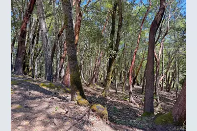 2076 Buckeye Road, Willits, CA 95490 - Photo 1