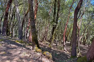 2076 Buckeye Rd, Willits, CA 95490 - Photo 1