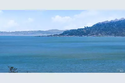 14 Janet Way #149, Tiburon, CA 94920 - Photo 42
