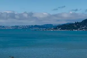 14 Janet Way, Tiburon, CA 94920 - Photo 2