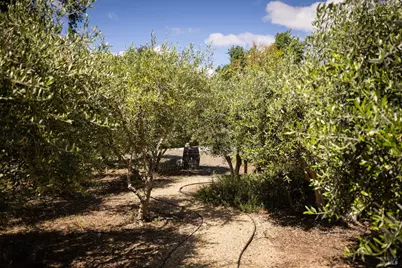 8811 Egg Farm Lane, Kenwood, CA 95452 - Photo 34