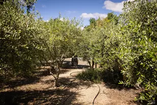 8811 Egg Farm Ln, Kenwood, CA 95452 - Photo 34