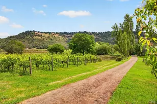 7440 Wild Horse Valley Rd, Napa, CA 94558 - Photo 8