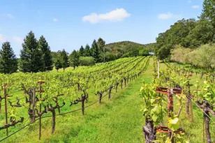 7440 Wild Horse Valley Rd, Napa, CA 94558 - Photo 2