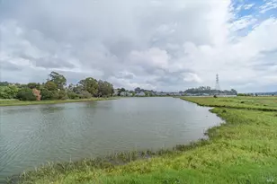 755 Miller Ave, Mill Valley, CA 94941 - Photo 38