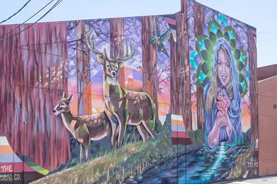 755 Miller Avenue, Mill Valley, CA 94941 - Photo 42