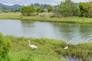 755 Miller Ave, Mill Valley, CA 94941 - Photo 40