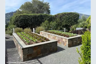 391 Elm Avenue, Larkspur, CA 94939 - Photo 14