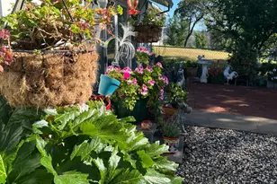 10180 Hwy 29, Lower Lake, CA 95457 - Photo 2