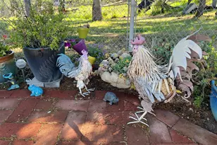 10180 Hwy 29, Lower Lake, CA 95457 - Photo 38