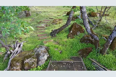 13017 Park Drive, Lower Lake, CA 95457 - Photo 58