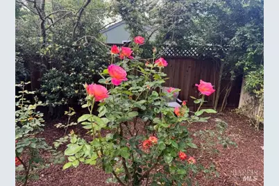 406 Corrillo Drive, San Rafael, CA 94903 - Photo 30