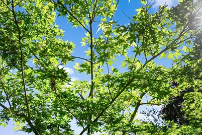 855 Garden Court, Petaluma, CA 94954 - Photo 42