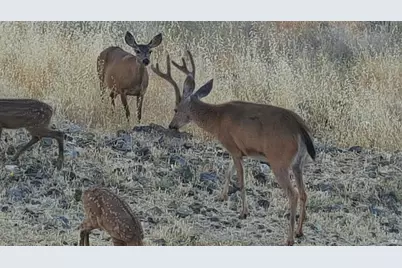 425 Lake Vista Drive, Lakeport, CA 95453 - Photo 94