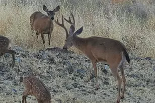 425 Lake Vista Dr, Lakeport, CA 95453 - Photo 94