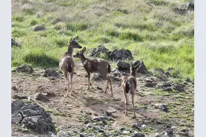 425 Lake Vista Drive, Lakeport, CA 95453 - Photo 96