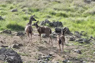 425 Lake Vista Dr, Lakeport, CA 95453 - Photo 96