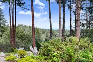 8950 Hwy 116, Forestville, CA 95436 - Photo 42