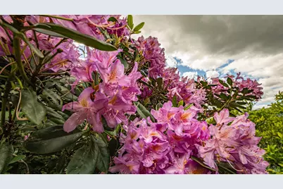 1925 Vintage Lane, Fairfield, CA 94534 - Photo 60