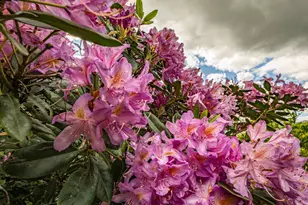 1925 Vintage Ln, Fairfield, CA 94534 - Photo 60