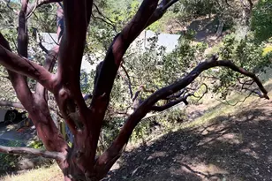 1925 Vintage Ln, Fairfield, CA 94534 - Photo 92