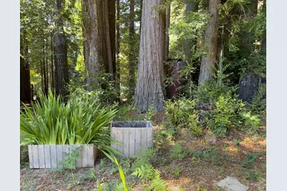 46650 Fish Rock Road, Gualala, CA 95445 - Photo 32