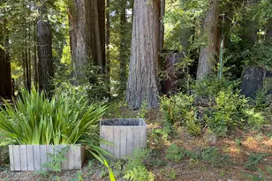 46650 Fish Rock Rd, Gualala, CA 95445 - Photo 32