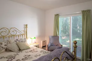 46650 Fish Rock Rd, Gualala, CA 95445 - Photo 16