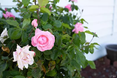 92 Anacapa Drive, Santa Rosa, CA 95403 - Photo 36