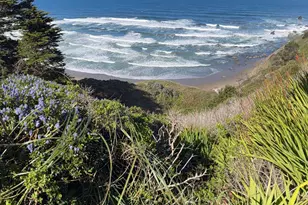 15150 Irish Beach Dr, Manchester, CA 95445 - Photo 36