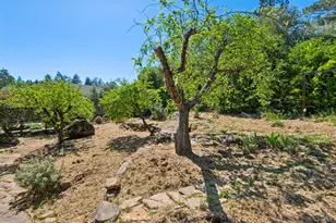 1475 Los Olivos Rd, Santa Rosa, CA 95404 - Photo 48