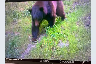 17707 Rockpile Road, Geyserville, CA 95441 - Photo 8