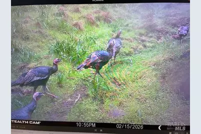 17707 Rockpile Road, Geyserville, CA 95441 - Photo 22