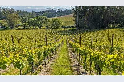 5215 Blank Road, Sebastopol, CA 95472 - Photo 10