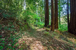 20719 Foothill Dr, Monte Rio, CA 95462 - Photo 16