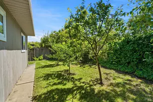 618 Bamboo Terrace, San Rafael, CA 94903 - Photo 20