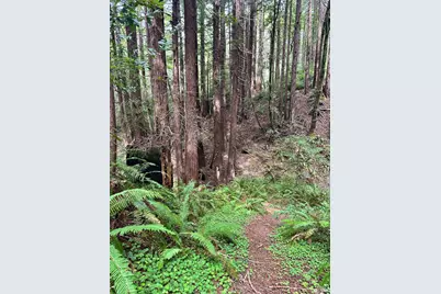 46320 Iversen Road, Point Arena, CA 95445 - Photo 2