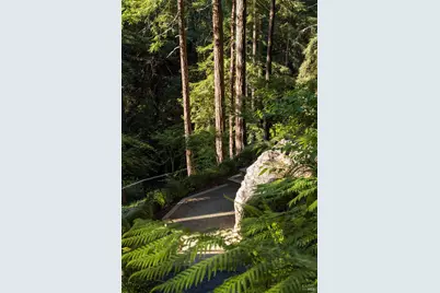 5 Marsh Drive, Mill Valley, CA 94941 - Photo 50