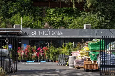 159 Terrace Avenue, San Rafael, CA 94901 - Photo 50