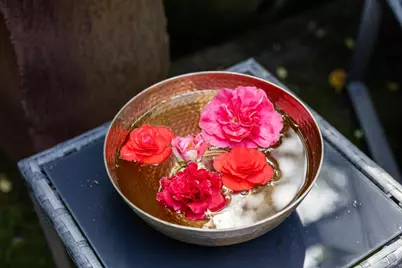 159 Terrace Avenue, San Rafael, CA 94901 - Photo 28