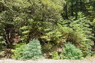 24425 Rose Terrace, Willits, CA 95490 - Photo 1