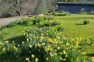 2002 Ogulin Cyn Rd, Clearlake, CA 95422 - Photo 10